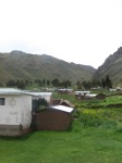 Farms in Andes